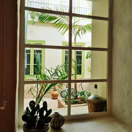 Gæstehus Orocasa7 La Orotava