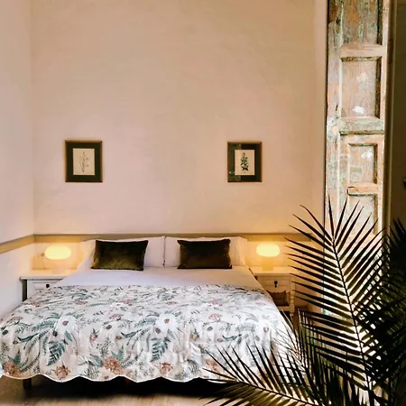 Guest house Orocasa7 3*