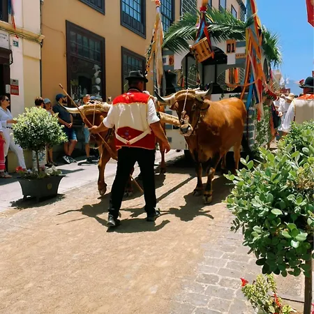 Orocasa7 ゲストハウス 3*