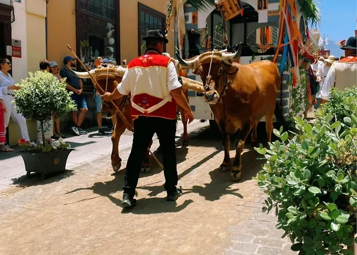 Orocasa7 Pensjonat 3*